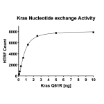 Kras Q61R Nucleotide Exchange Assay Kit